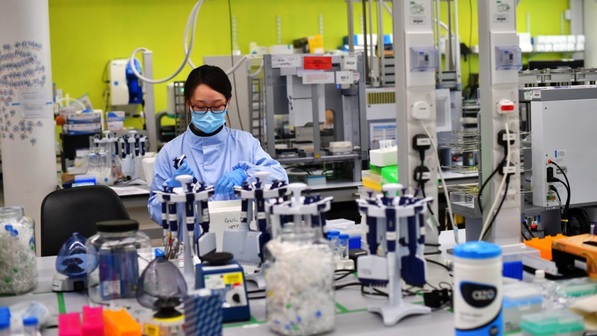 U Kini otkriven novi virus, uzrokuje otkazivanje bubrega i jetre kod ljudi