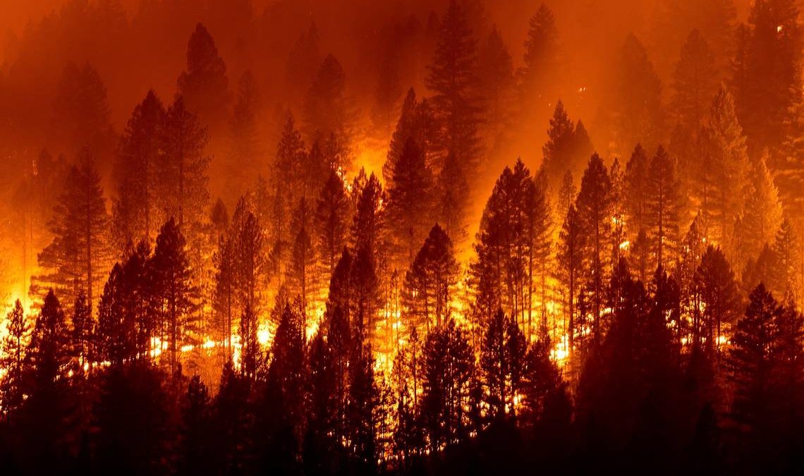 Vanredna situacija u Kaliforniji, šumski požar se ubrzano širi