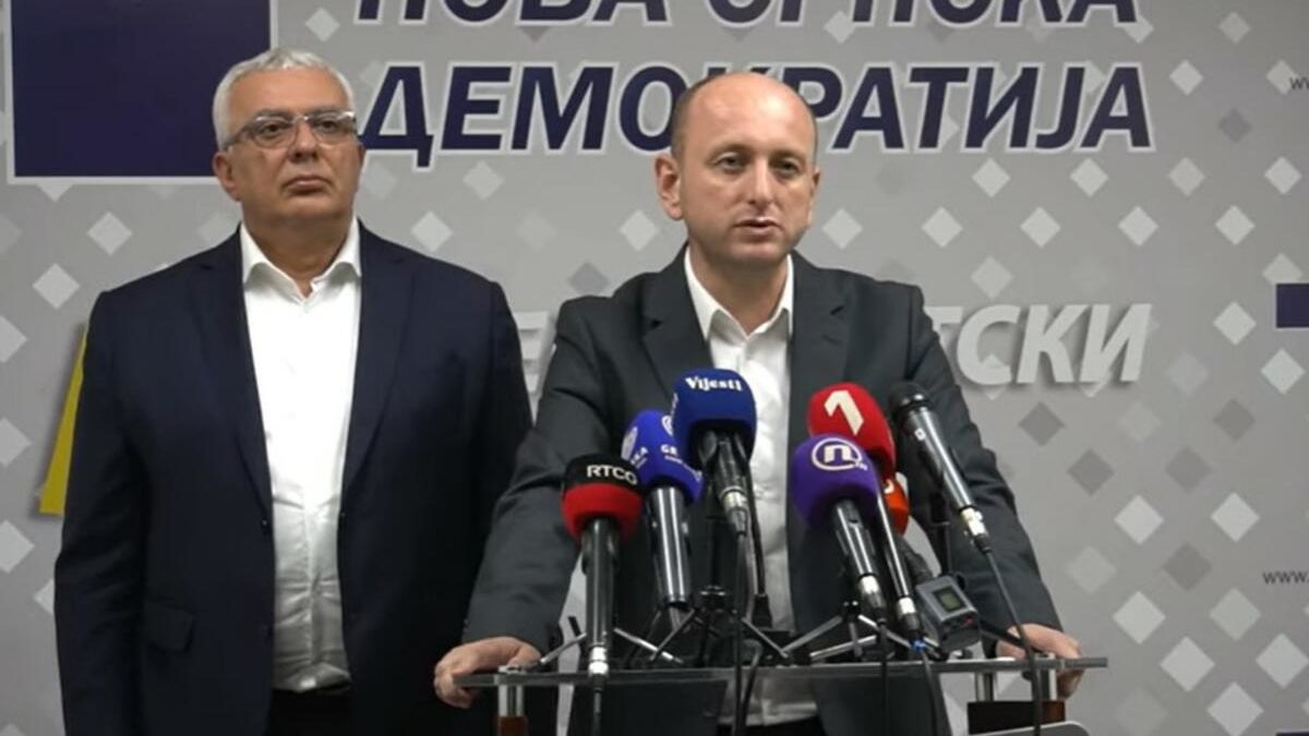Knežević: Glasanje Crne Gore za prijem Kosova u Savjet Evrope nacionalna sramota